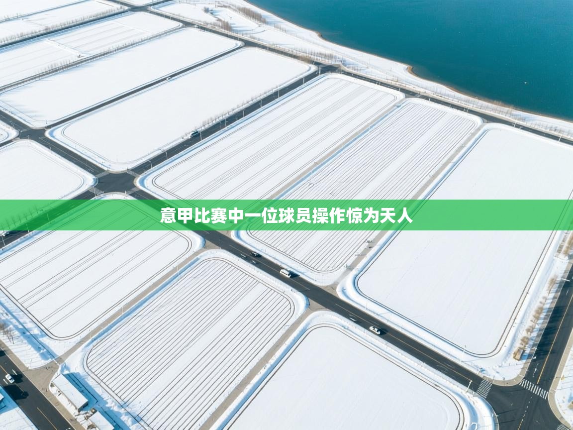 云开体育app网页版登录入口-意甲比赛中一位球员操作惊为天人 第3张