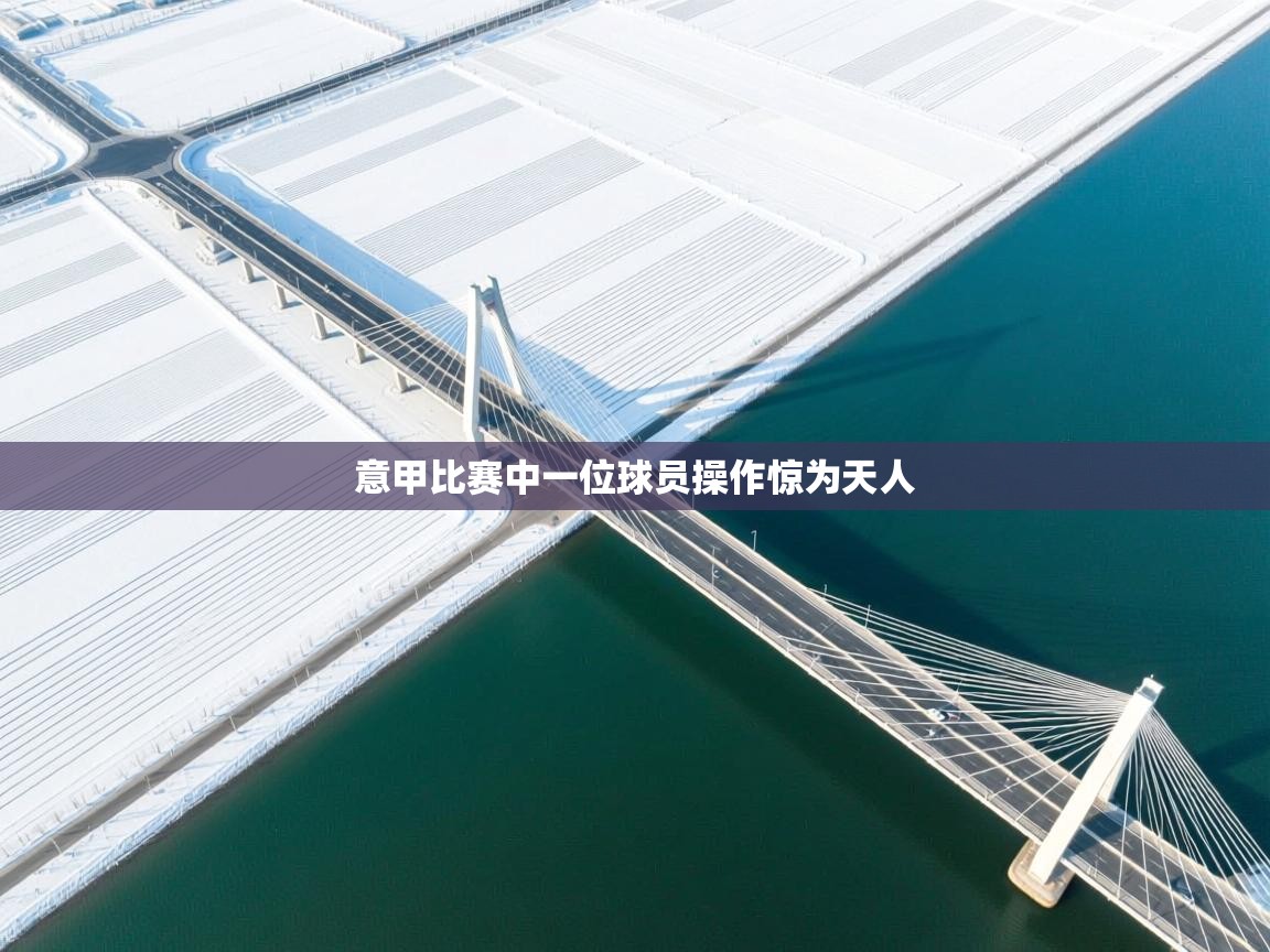 云开体育app网页版登录入口-意甲比赛中一位球员操作惊为天人 第4张