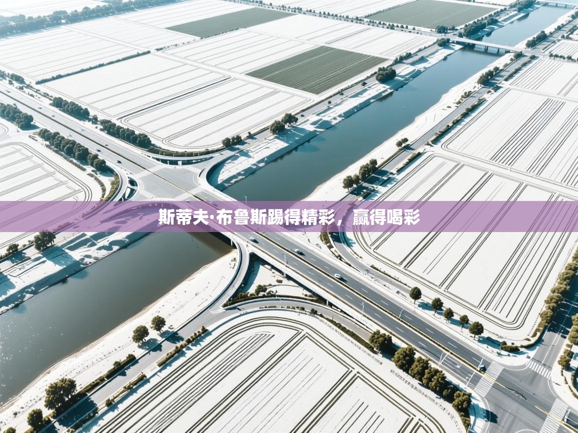 开云体育app官网下载地址-斯蒂夫·布鲁斯踢得精彩，赢得喝彩  第2张