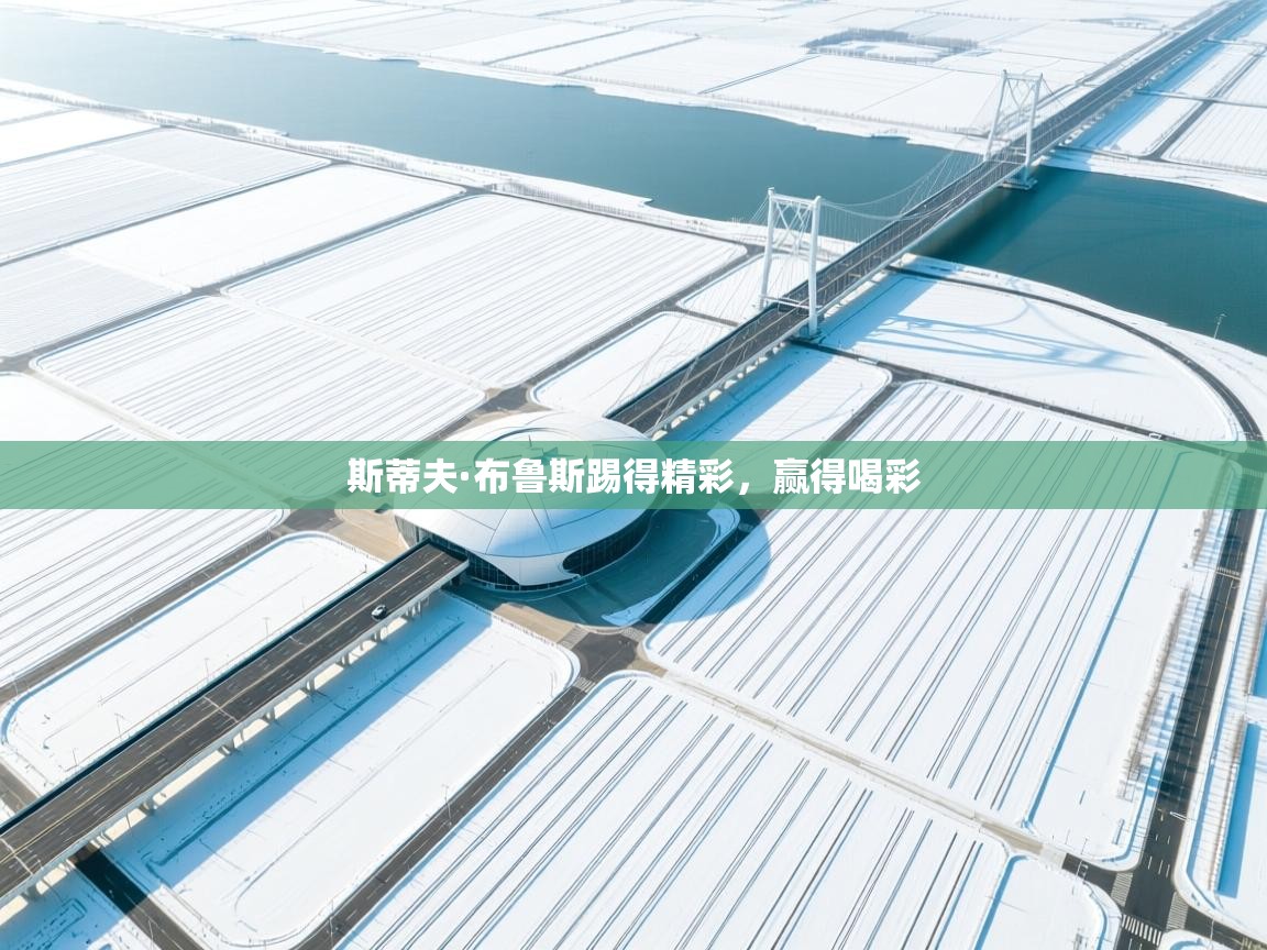 开云体育app官网下载地址-斯蒂夫·布鲁斯踢得精彩，赢得喝彩  第4张