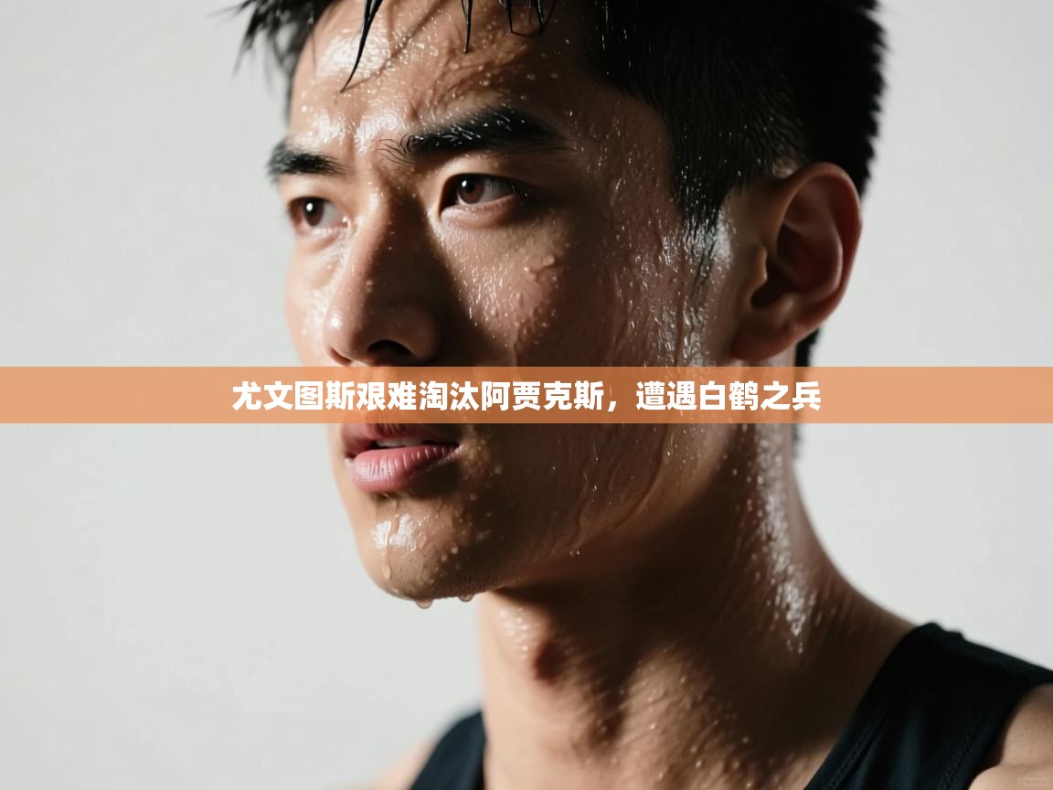 kaiyun-尤文图斯艰难淘汰阿贾克斯，遭遇白鹤之兵  第1张