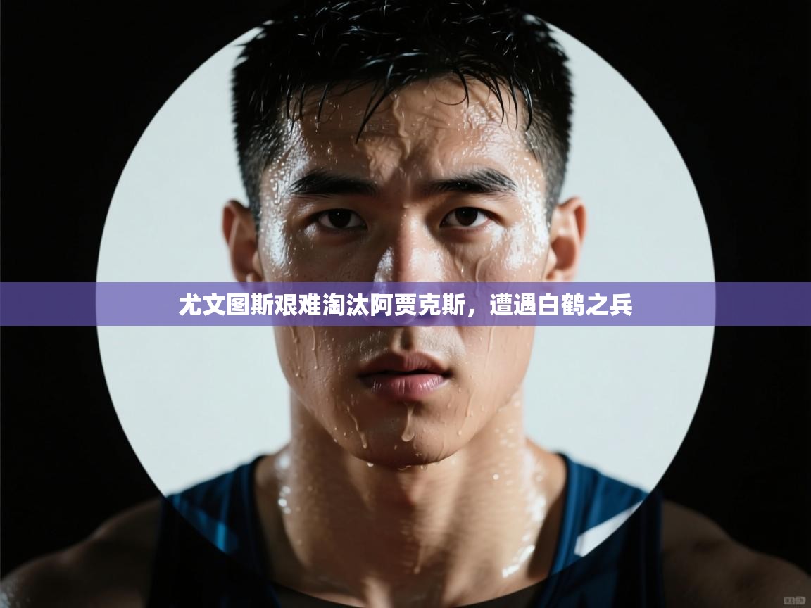 kaiyun-尤文图斯艰难淘汰阿贾克斯，遭遇白鹤之兵  第3张