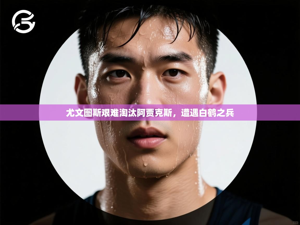 kaiyun-尤文图斯艰难淘汰阿贾克斯，遭遇白鹤之兵  第2张