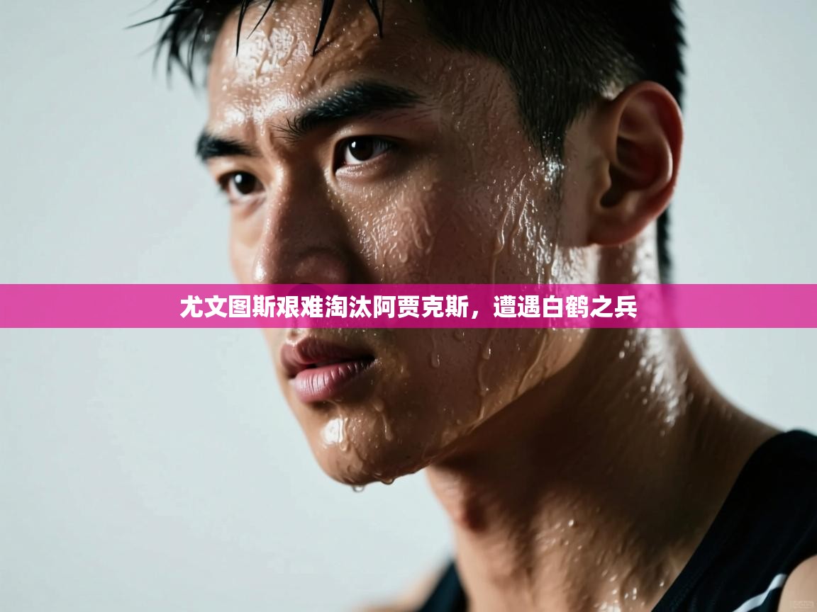 kaiyun-尤文图斯艰难淘汰阿贾克斯，遭遇白鹤之兵  第4张