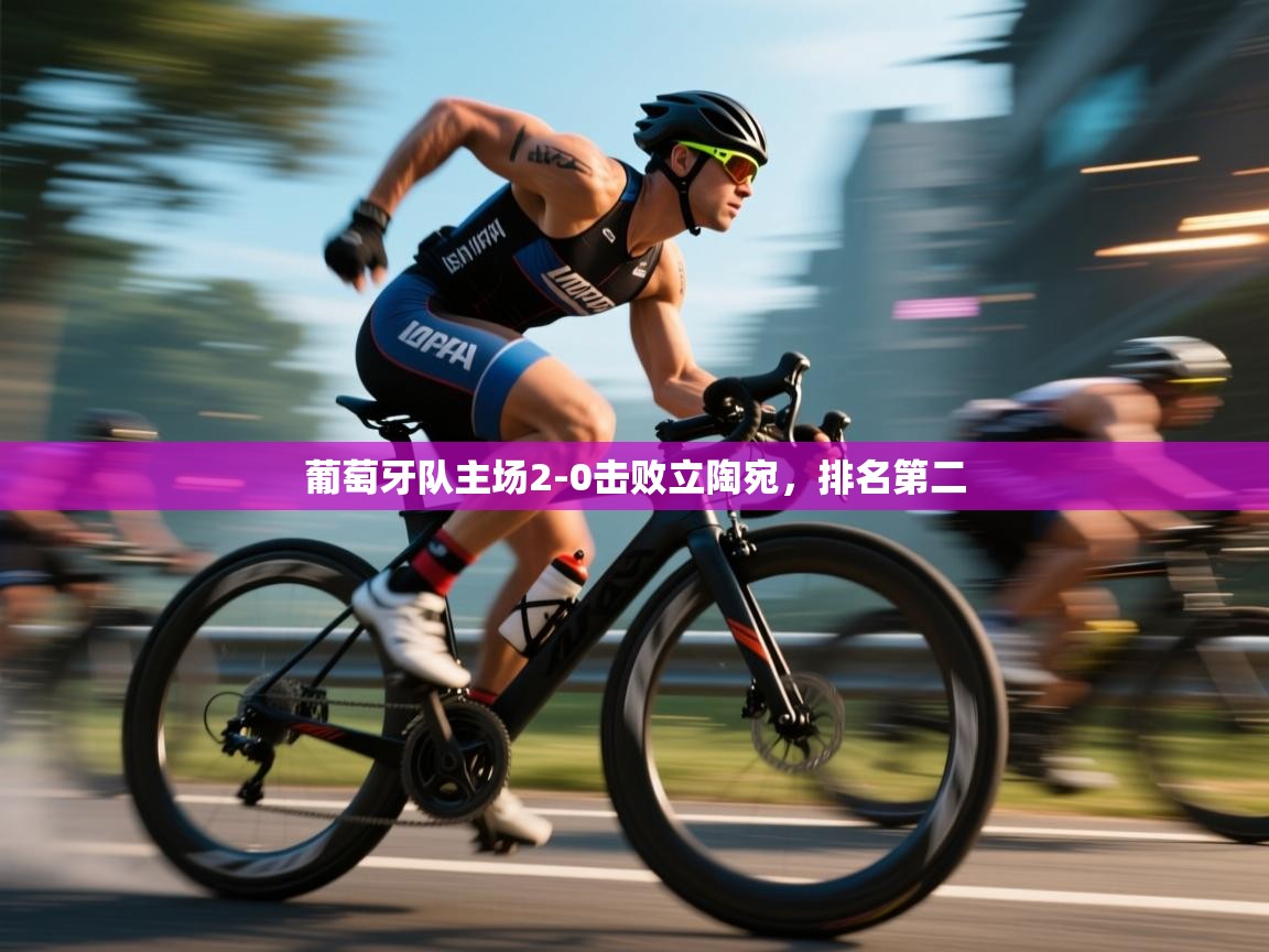 开云体育入口下载-葡萄牙队主场2-0击败立陶宛，排名第二  第2张