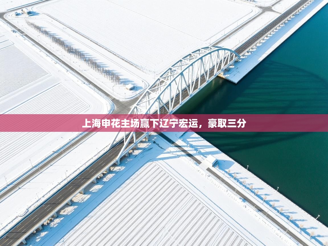 云开体育app网页版入口-上海申花主场赢下辽宁宏运，豪取三分