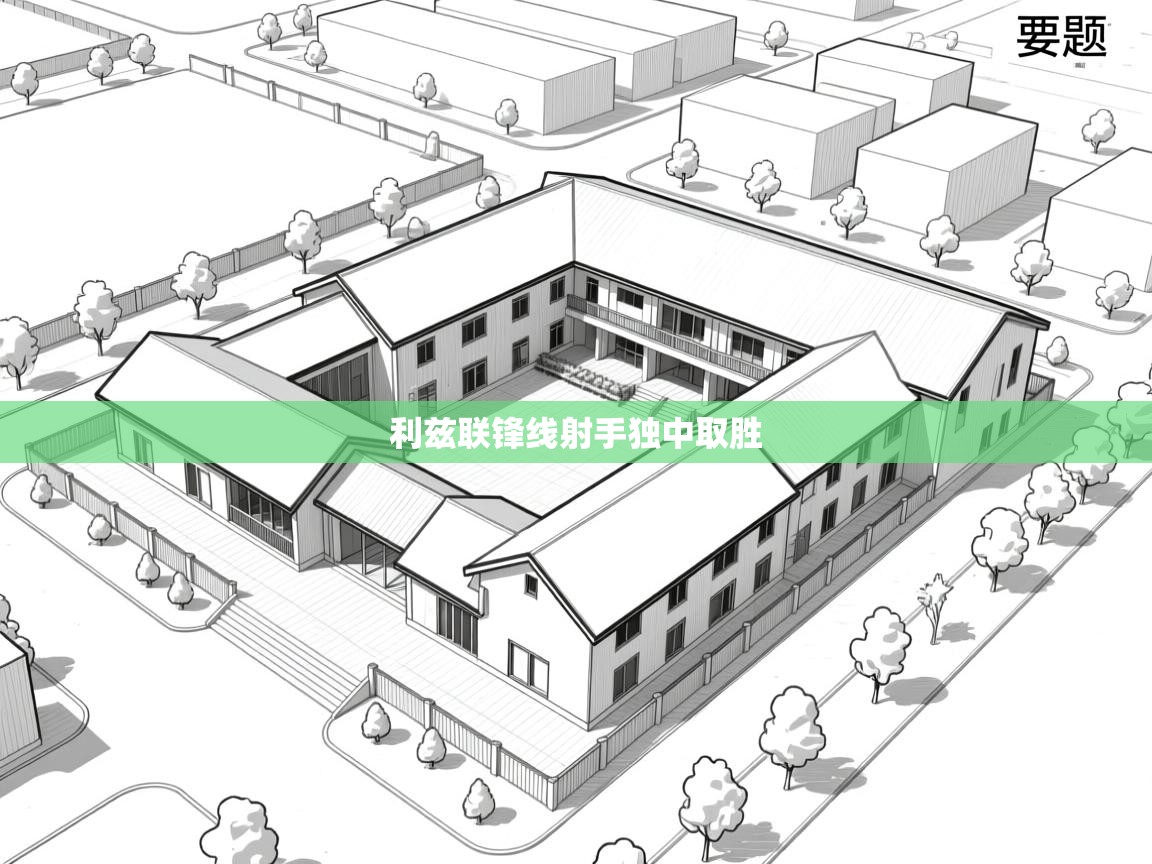 开云体育新人指引-利兹联锋线射手独中取胜  第2张
