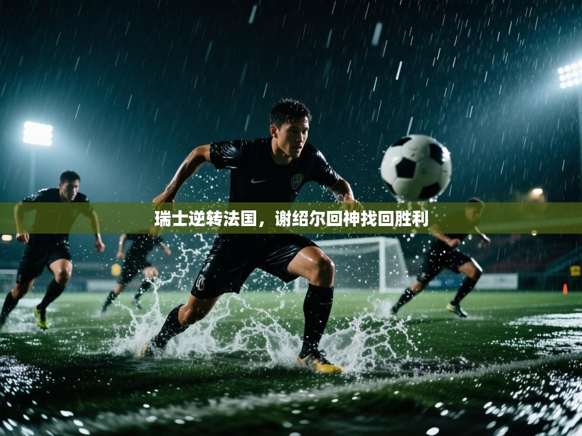 开云体育在线-瑞士逆转法国，谢绍尔回神找回胜利  第3张