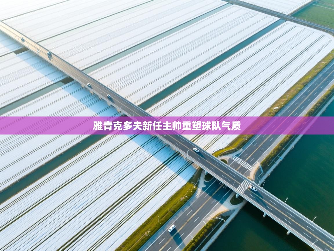 云开体育app网页版入口-雅青克多夫新任主帅重塑球队气质